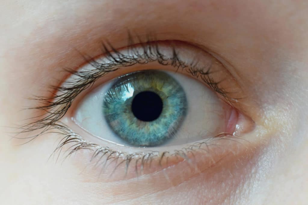 istock 1135791773 - Cornea Care