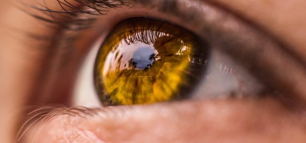 Close up of an eye